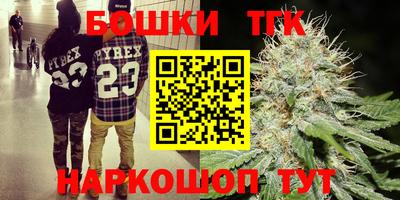 стафф Можга