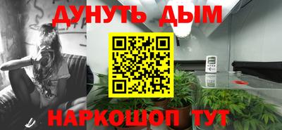 дмт Моздок