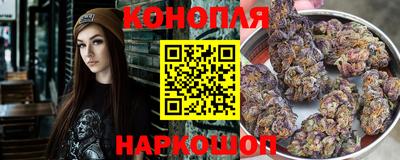 стафф Можга