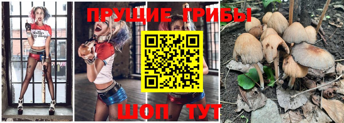 Галлюциногенные грибы мицелий Ступино