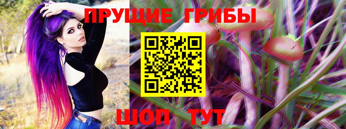 купить  сайты  Псилоцибиновые грибы прущие грибы  Вход с VPN  Ступино 